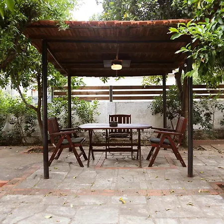 Lemon Tree House